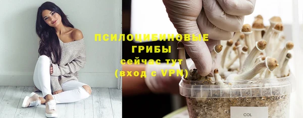 кокаин перу Алексин