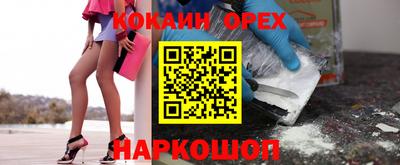 гидра Бердск