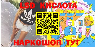 гидра Бердск