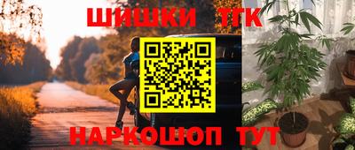 гидра Бердск
