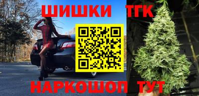 гидра Бердск