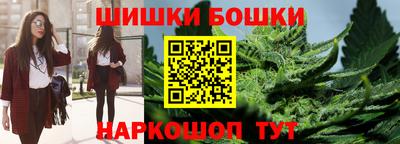 гидра Бердск