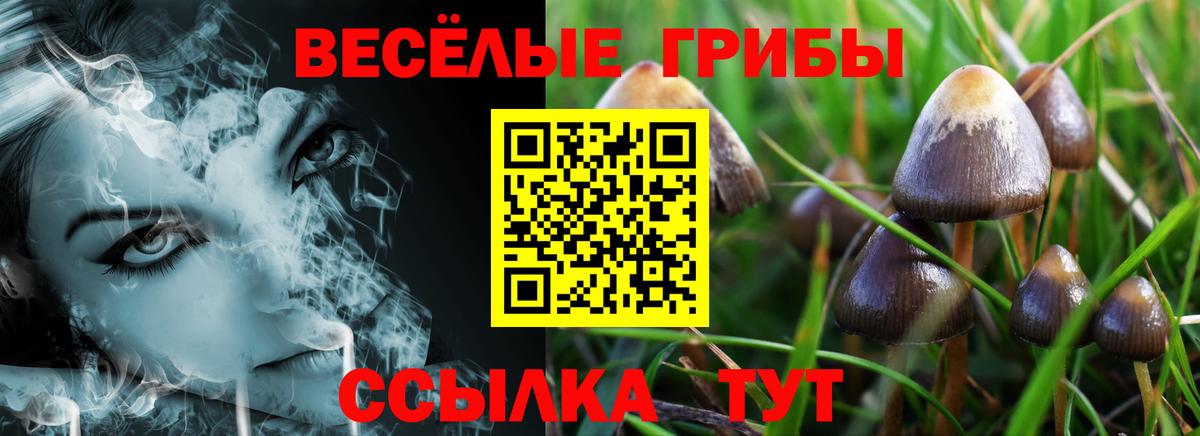Галлюциногенные грибы мухоморы Раменское
